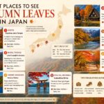 Best Places to See Autumn Leaves in Japan best places to see autumn leaves japan