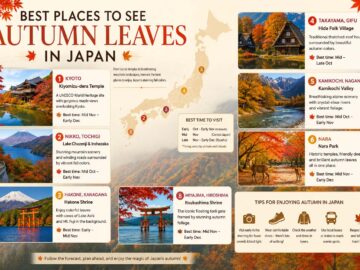 best places to see autumn leaves japan