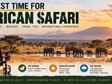 best time for african safari